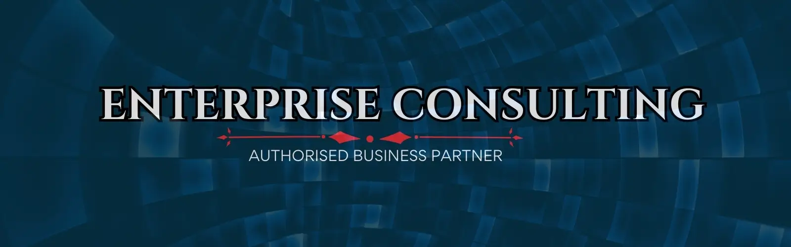 Enterprise Consulting